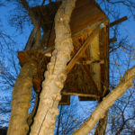 More-colorful-treehouse