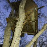 The-treehouse