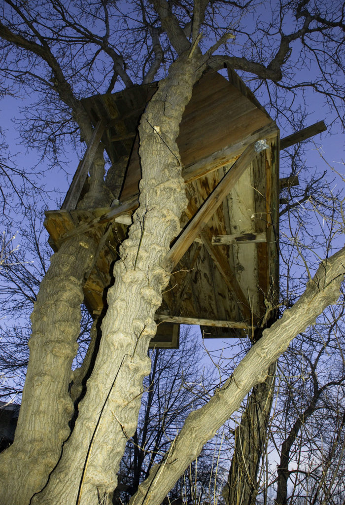 The-treehouse