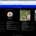 I changed the look and layout of the Discography Page